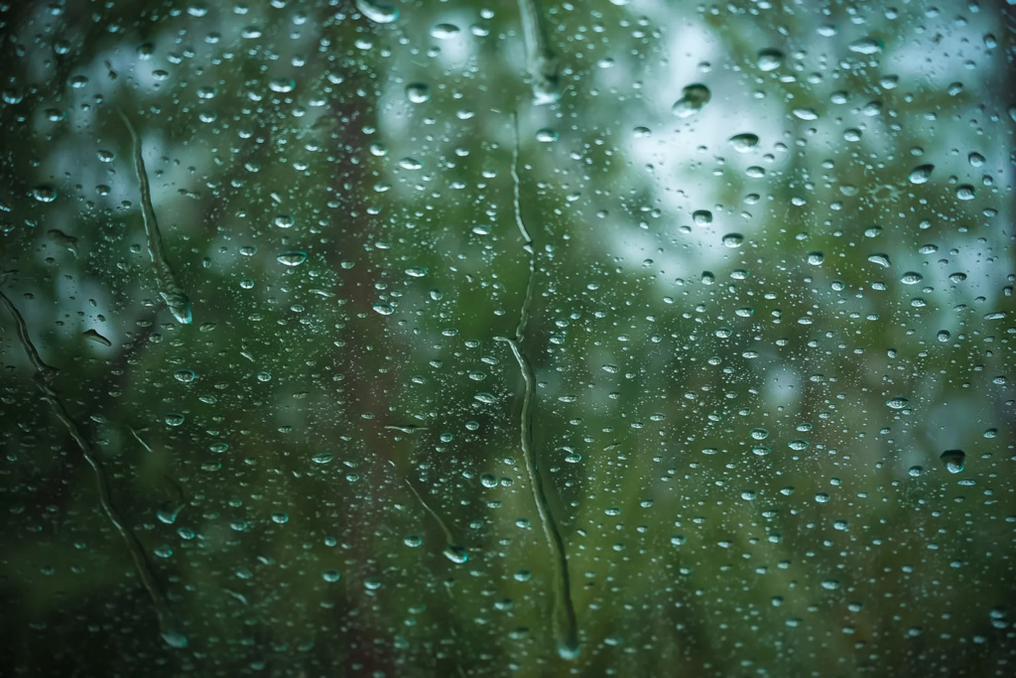 Rain on the glass. Misc photography by Robin Mehdee, South Florida.